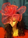 Fascinator rot